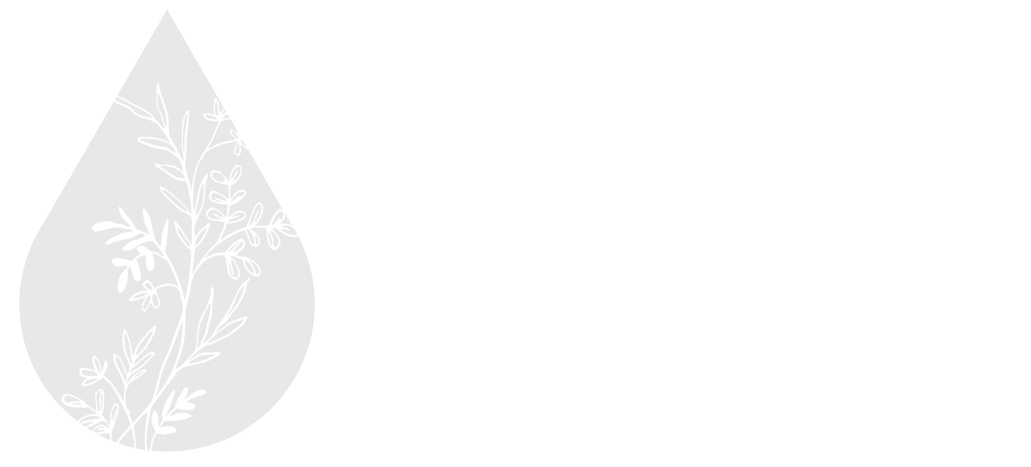 The Feeding Company